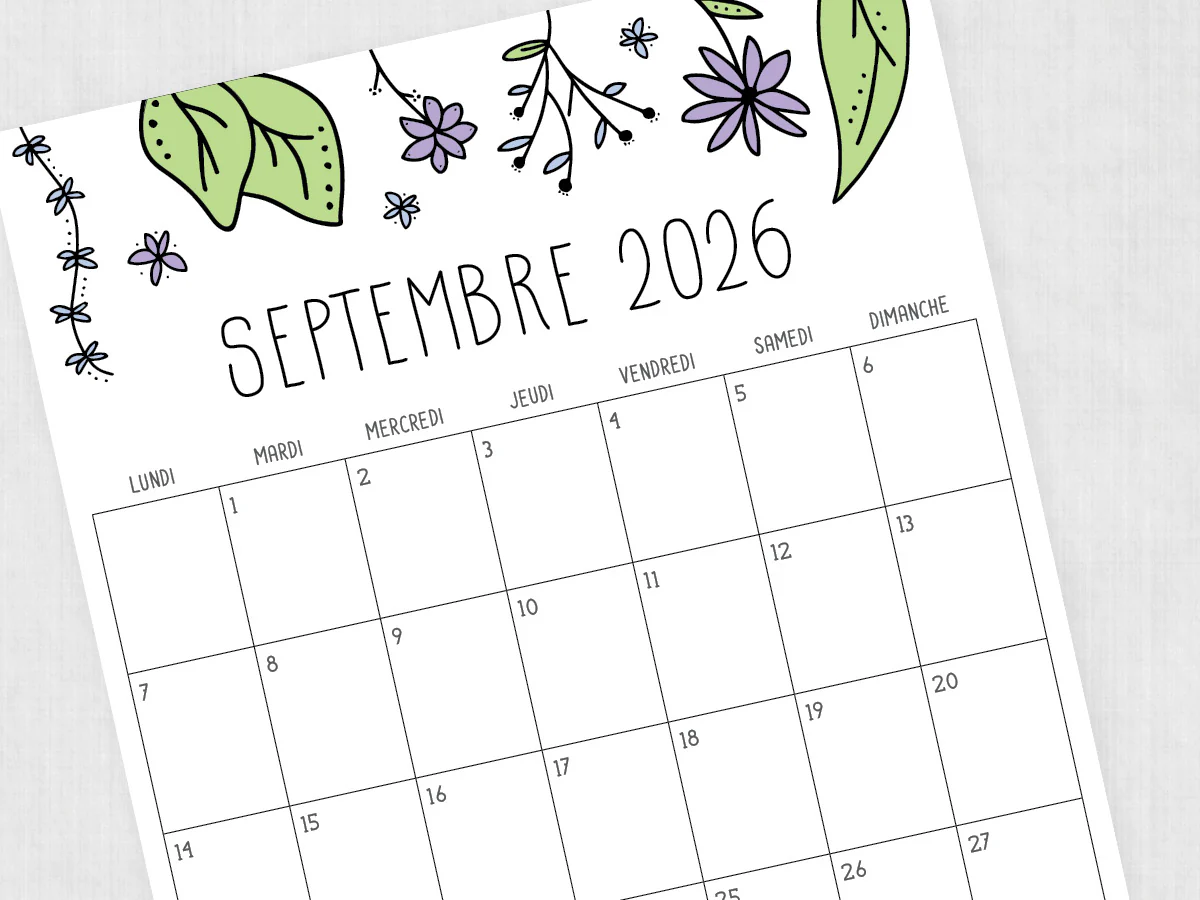 Réprise des cours 26/27 - Pré inscriptions // Essais